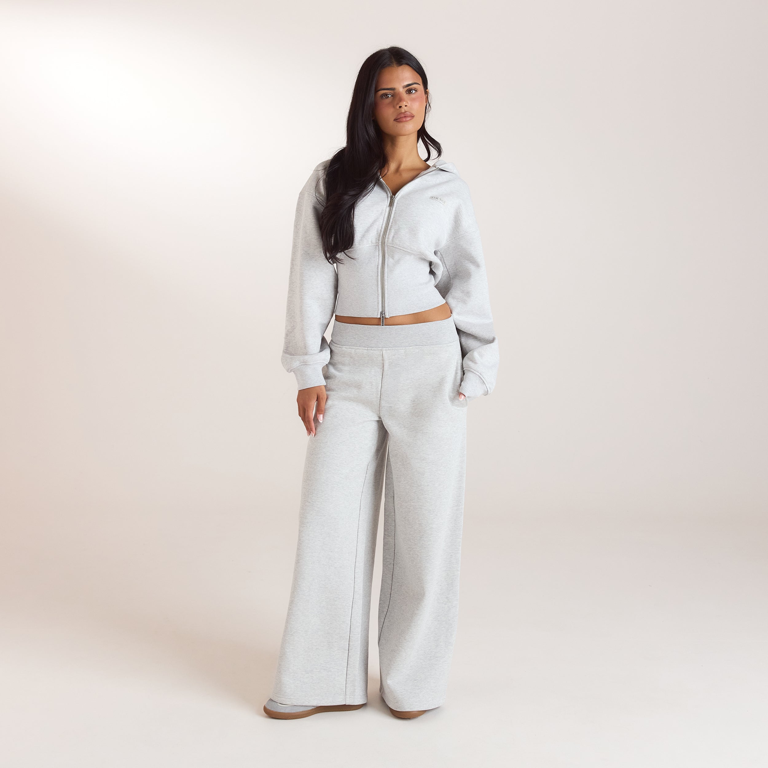 Sweat à Capuche Ajusté | Sweat à Capuche Ajusté - Gris